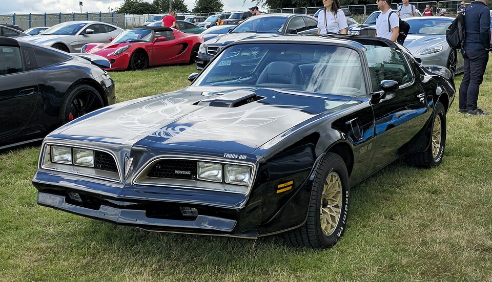 Black 1977 Pontiac Trans Am with gold accents and hood bird, the Special Edition look made famous by Smokey and the Bandit